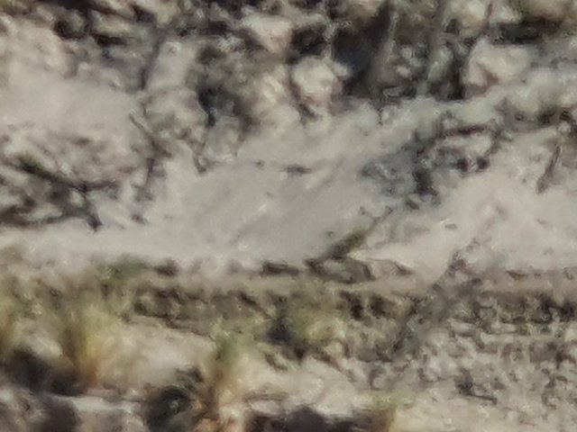 20220904_150445